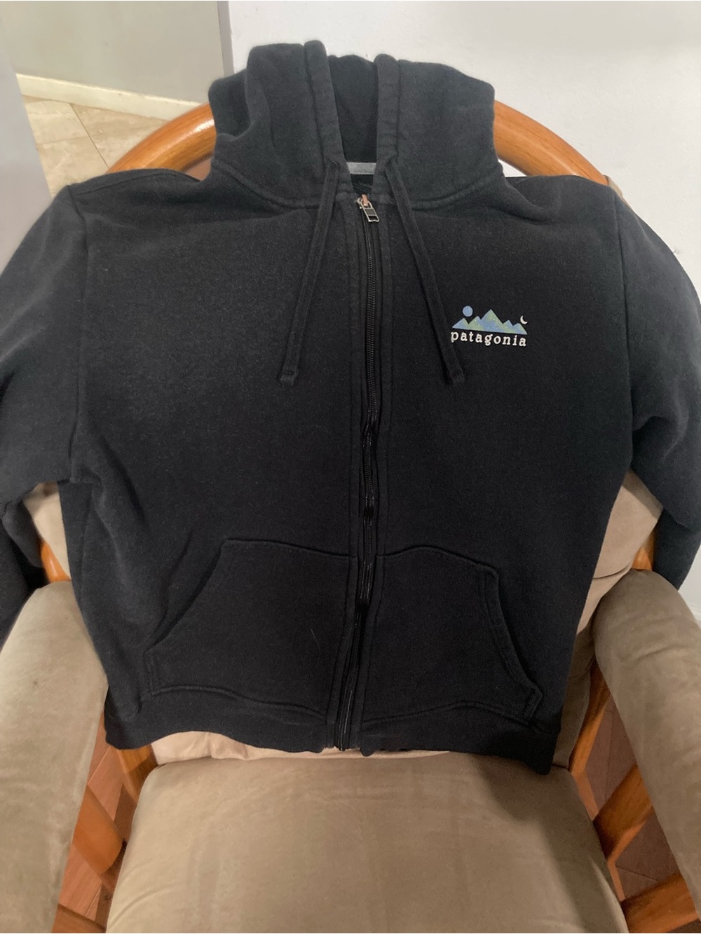 Patagonia Black Full-Zip Hoodie with Mountain Logo